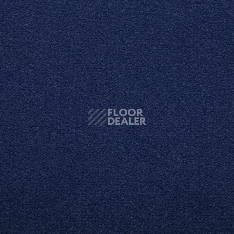 Ковролин Condor  Magic 80 фото 1 | FLOORDEALER